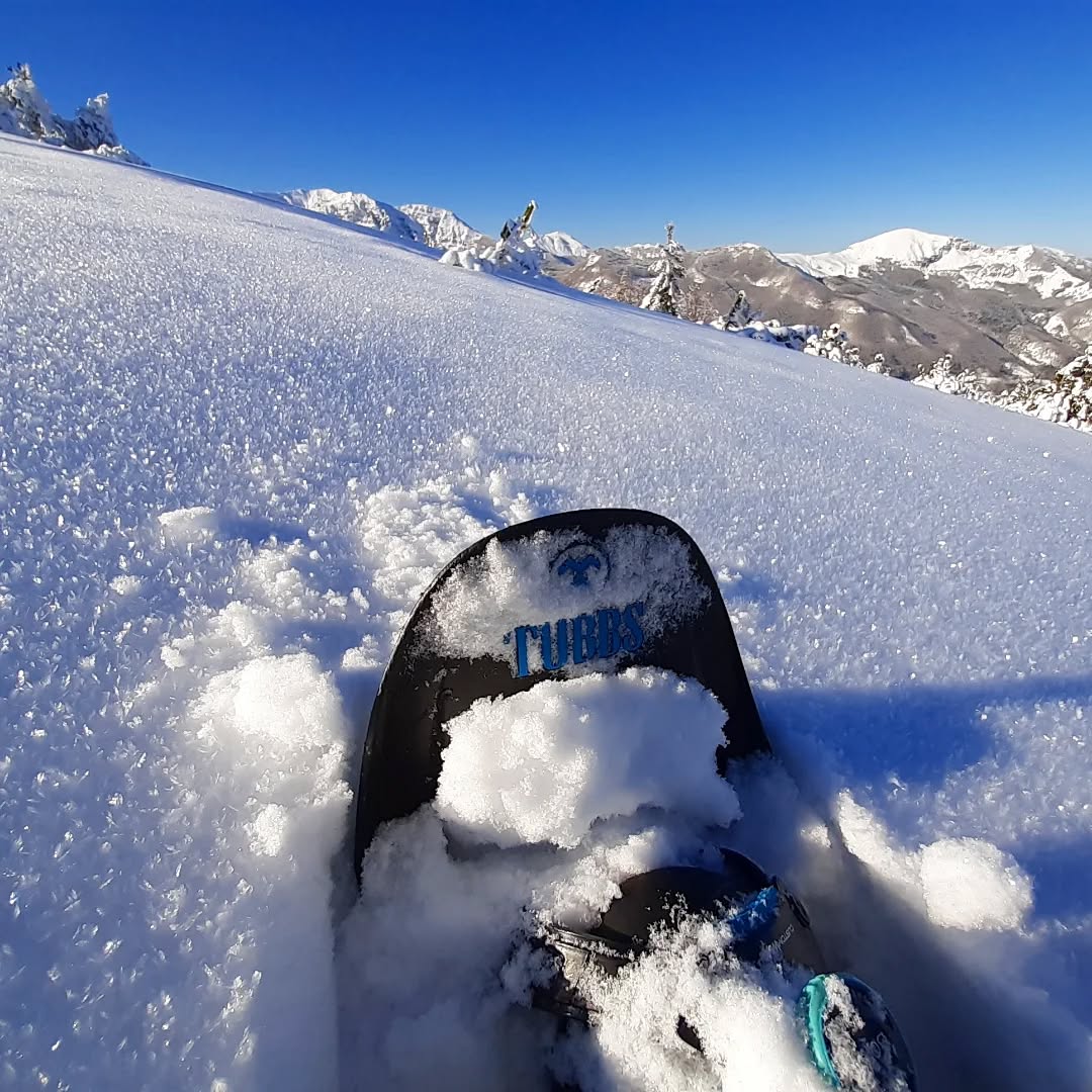 Snowshoes time è tempo di ciaspole⛄ 

Erano alcuni anni che il nostro amato Appennino non era così ben innevato prima di Natale Voi ne avete approfittato per una bella escursione con le ciaspole? O avrete intenzione di approfittarne a breve? 

Noi nel frattempo abbiamo sguinzagliato la nostra special guest star francescorosatiguida che in questi giorni oltre ad accompagnare in escursione i suoi clienti ha scattato queste magnifiche foto 

Le sue ciaspole provengono naturalmente da Mondo Montagna! Sono le Tubbs Flex modello leggero e tecnico della casa nordamericana disponibili anche online su mondomontagnaitshop 

Francesco se le è procurate da noi nel novembre 2019 ne fa un uso intensivo e professionale ma sembrano ancora nuovea dimostrazione che le sue Tubbs oltre che performanti sono decisamente resistenti😎 

Vi aspettiamo in negozio o sullo shop online adesso spazio alle foto!
_ _ _ _ _ _ _ _ _ _

appenninomodenese 
snowshoeing 
dicembre2024 
tubbssnowshoes 
mondomontagna