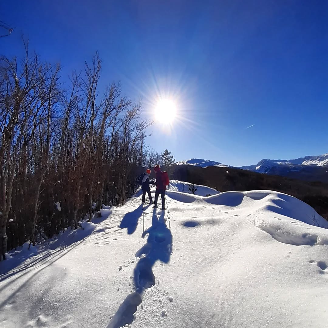 Snowshoes time è tempo di ciaspole⛄ 

Erano alcuni anni che il nostro amato Appennino non era così ben innevato prima di Natale Voi ne avete approfittato per una bella escursione con le ciaspole? O avrete intenzione di approfittarne a breve? 

Noi nel frattempo abbiamo sguinzagliato la nostra special guest star francescorosatiguida che in questi giorni oltre ad accompagnare in escursione i suoi clienti ha scattato queste magnifiche foto 

Le sue ciaspole provengono naturalmente da Mondo Montagna! Sono le Tubbs Flex modello leggero e tecnico della casa nordamericana disponibili anche online su mondomontagnaitshop 

Francesco se le è procurate da noi nel novembre 2019 ne fa un uso intensivo e professionale ma sembrano ancora nuovea dimostrazione che le sue Tubbs oltre che performanti sono decisamente resistenti😎 

Vi aspettiamo in negozio o sullo shop online adesso spazio alle foto!
_ _ _ _ _ _ _ _ _ _

appenninomodenese 
snowshoeing 
dicembre2024 
tubbssnowshoes 
mondomontagna