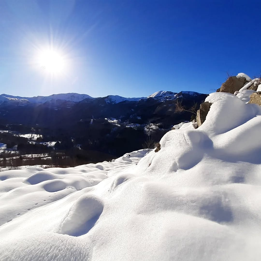 Snowshoes time è tempo di ciaspole⛄ 

Erano alcuni anni che il nostro amato Appennino non era così ben innevato prima di Natale Voi ne avete approfittato per una bella escursione con le ciaspole? O avrete intenzione di approfittarne a breve? 

Noi nel frattempo abbiamo sguinzagliato la nostra special guest star francescorosatiguida che in questi giorni oltre ad accompagnare in escursione i suoi clienti ha scattato queste magnifiche foto 

Le sue ciaspole provengono naturalmente da Mondo Montagna! Sono le Tubbs Flex modello leggero e tecnico della casa nordamericana disponibili anche online su mondomontagnaitshop 

Francesco se le è procurate da noi nel novembre 2019 ne fa un uso intensivo e professionale ma sembrano ancora nuovea dimostrazione che le sue Tubbs oltre che performanti sono decisamente resistenti😎 

Vi aspettiamo in negozio o sullo shop online adesso spazio alle foto!
_ _ _ _ _ _ _ _ _ _

appenninomodenese 
snowshoeing 
dicembre2024 
tubbssnowshoes 
mondomontagna